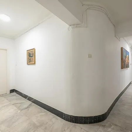 Zen Orchid, Kolonaki
